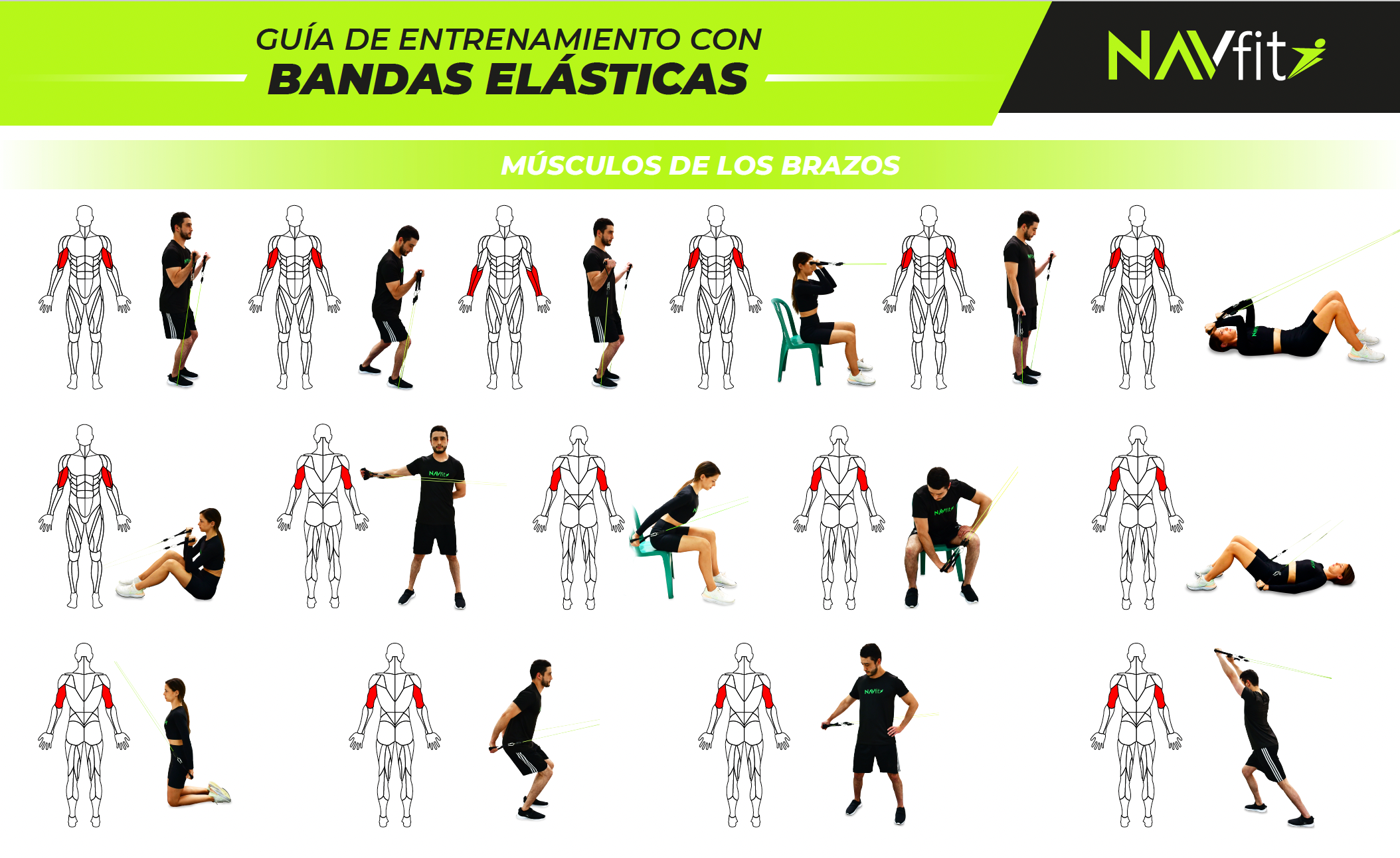 Bandas elásticas para entrenar. Ejercicios y tipos de bandas