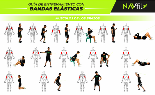 Guia de Entrenamiento con Bandas Elásticas